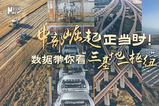 今日鹈鹕对阵灰熊 小南斯继续缺战 泽勒缺席2场后迎来复出